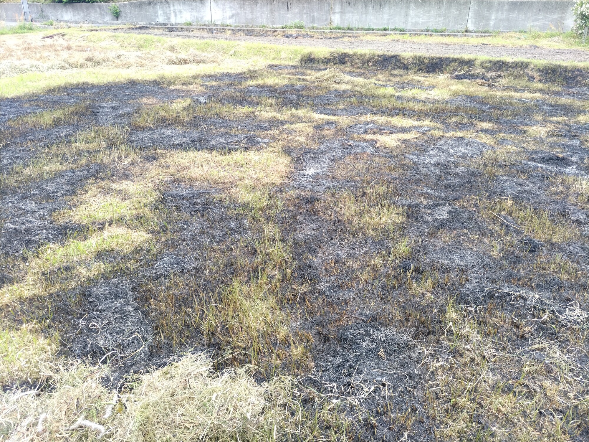 新着情報の画像